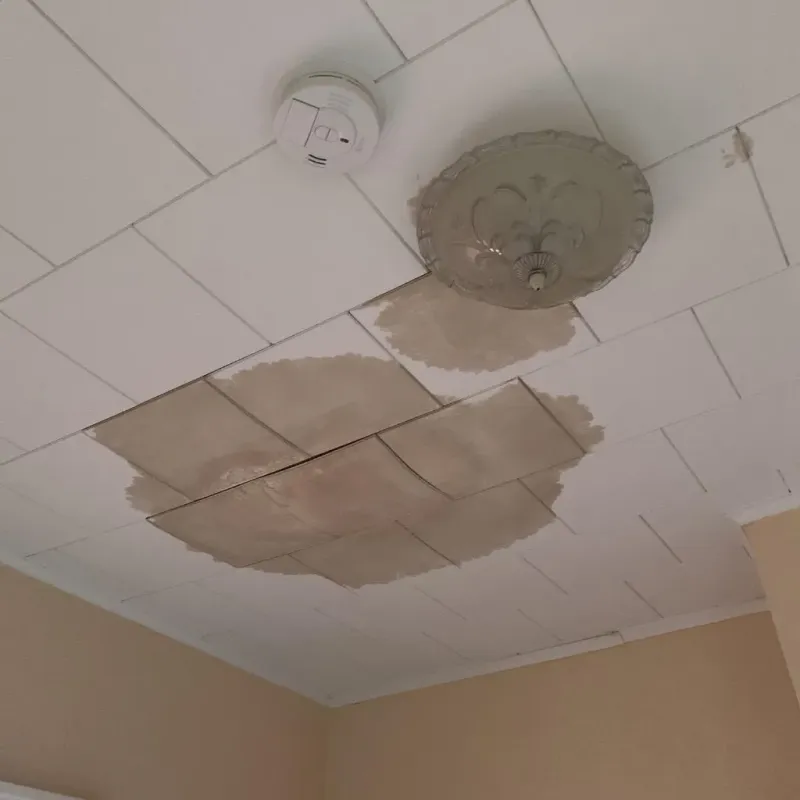 Ceiling Water Damage Repair in Bonita, CA